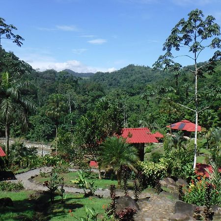 Pacuare River Lodge Bajo Tigre Εξωτερικό φωτογραφία