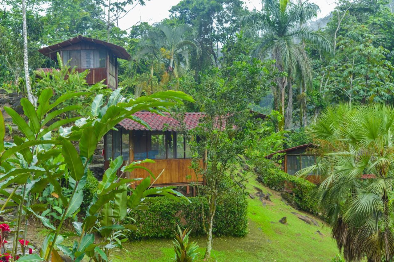 Pacuare River Lodge Bajo Tigre Εξωτερικό φωτογραφία