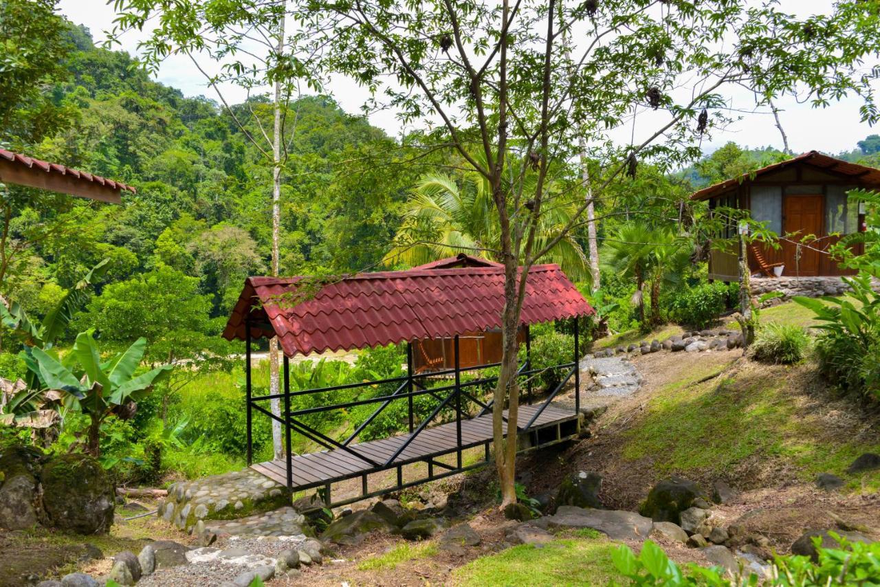 Pacuare River Lodge Bajo Tigre Εξωτερικό φωτογραφία