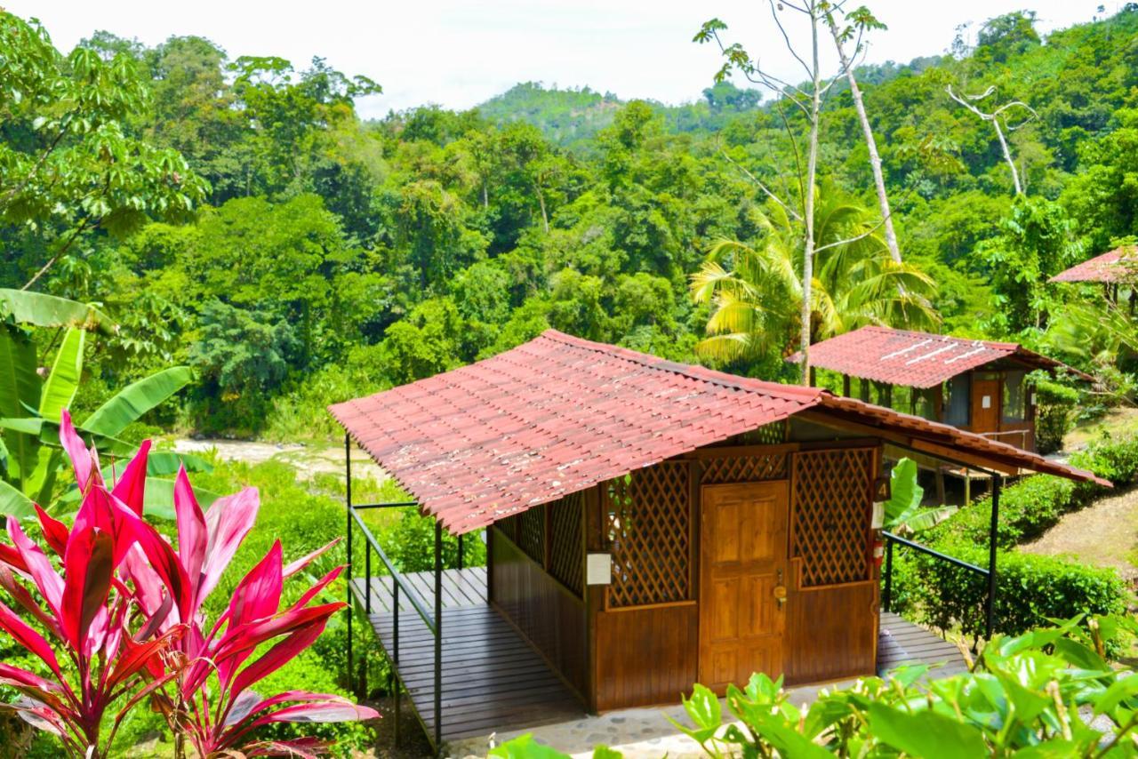 Pacuare River Lodge Bajo Tigre Εξωτερικό φωτογραφία
