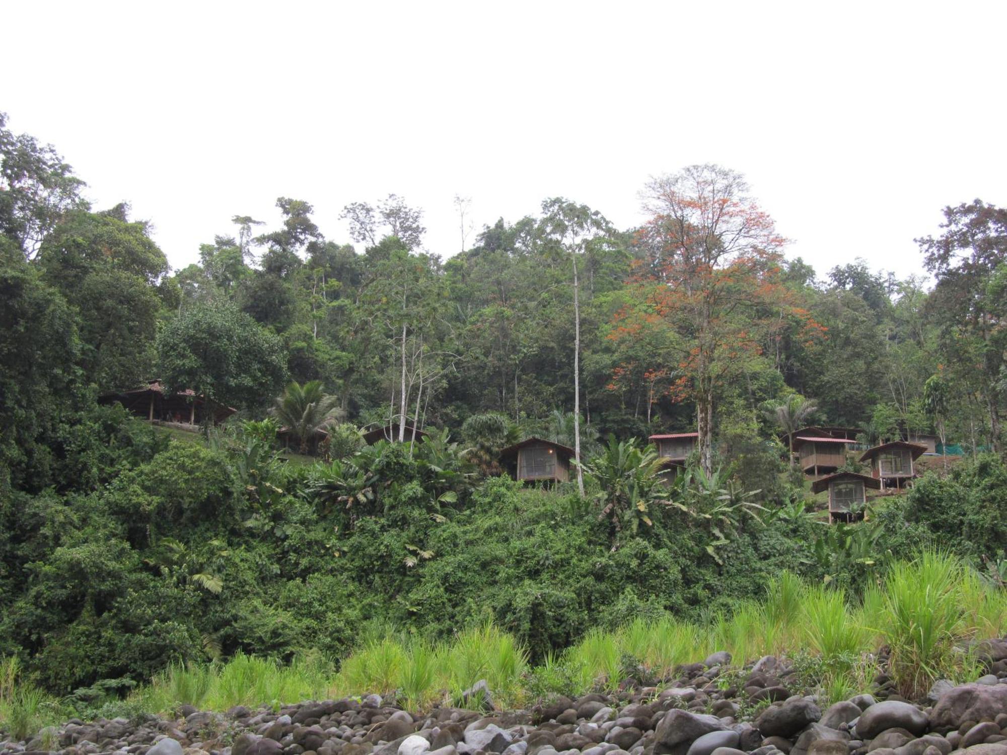 Pacuare River Lodge Bajo Tigre Εξωτερικό φωτογραφία