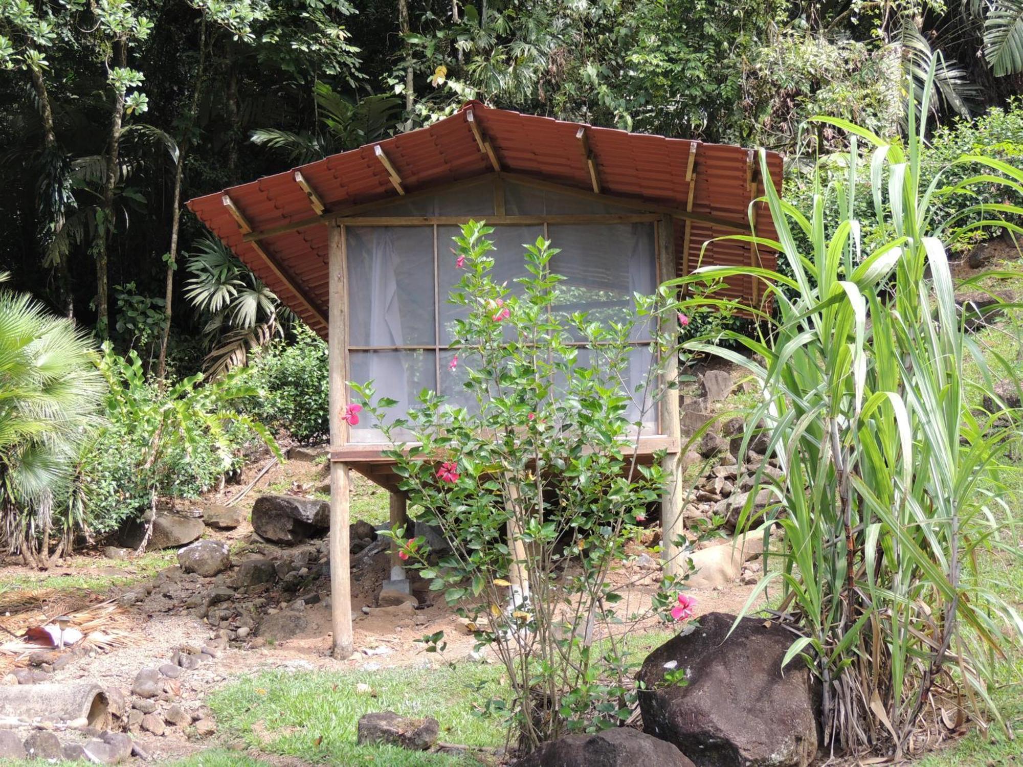 Pacuare River Lodge Bajo Tigre Εξωτερικό φωτογραφία
