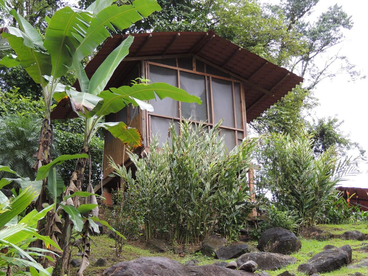 Pacuare River Lodge Bajo Tigre Εξωτερικό φωτογραφία