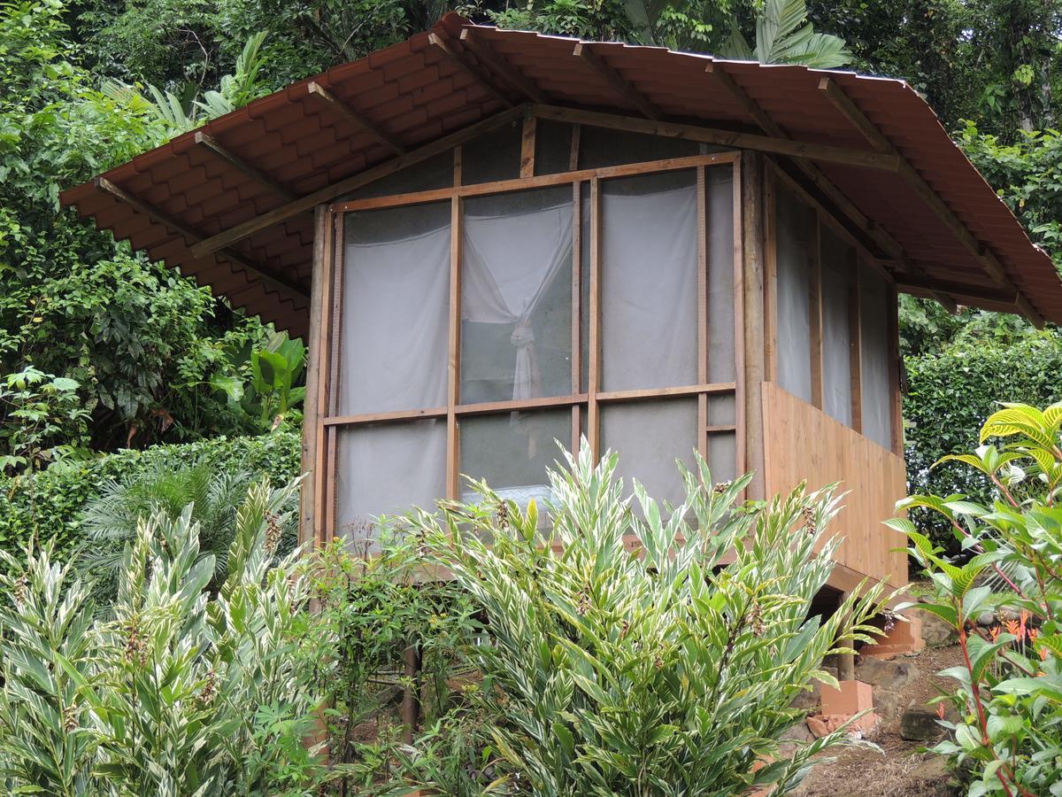 Pacuare River Lodge Bajo Tigre Εξωτερικό φωτογραφία
