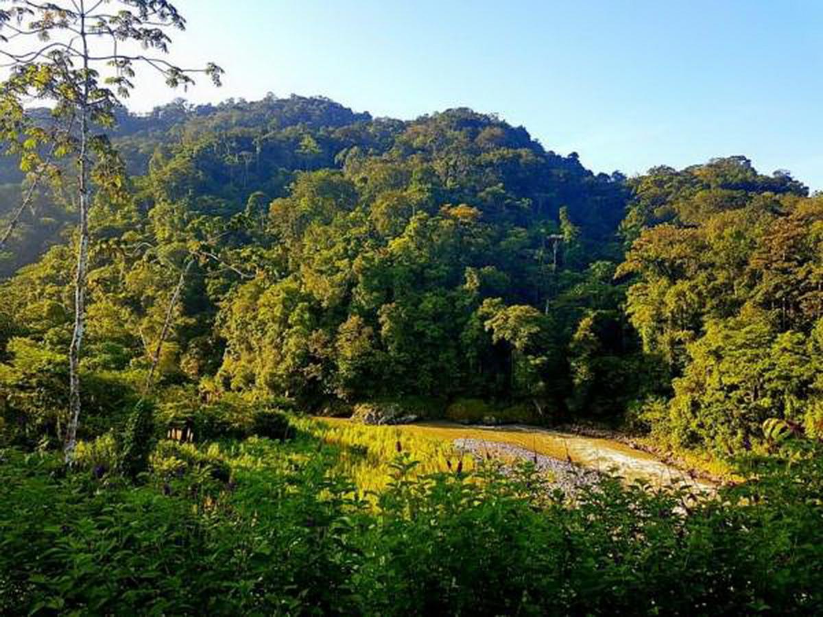 Pacuare River Lodge Bajo Tigre Εξωτερικό φωτογραφία