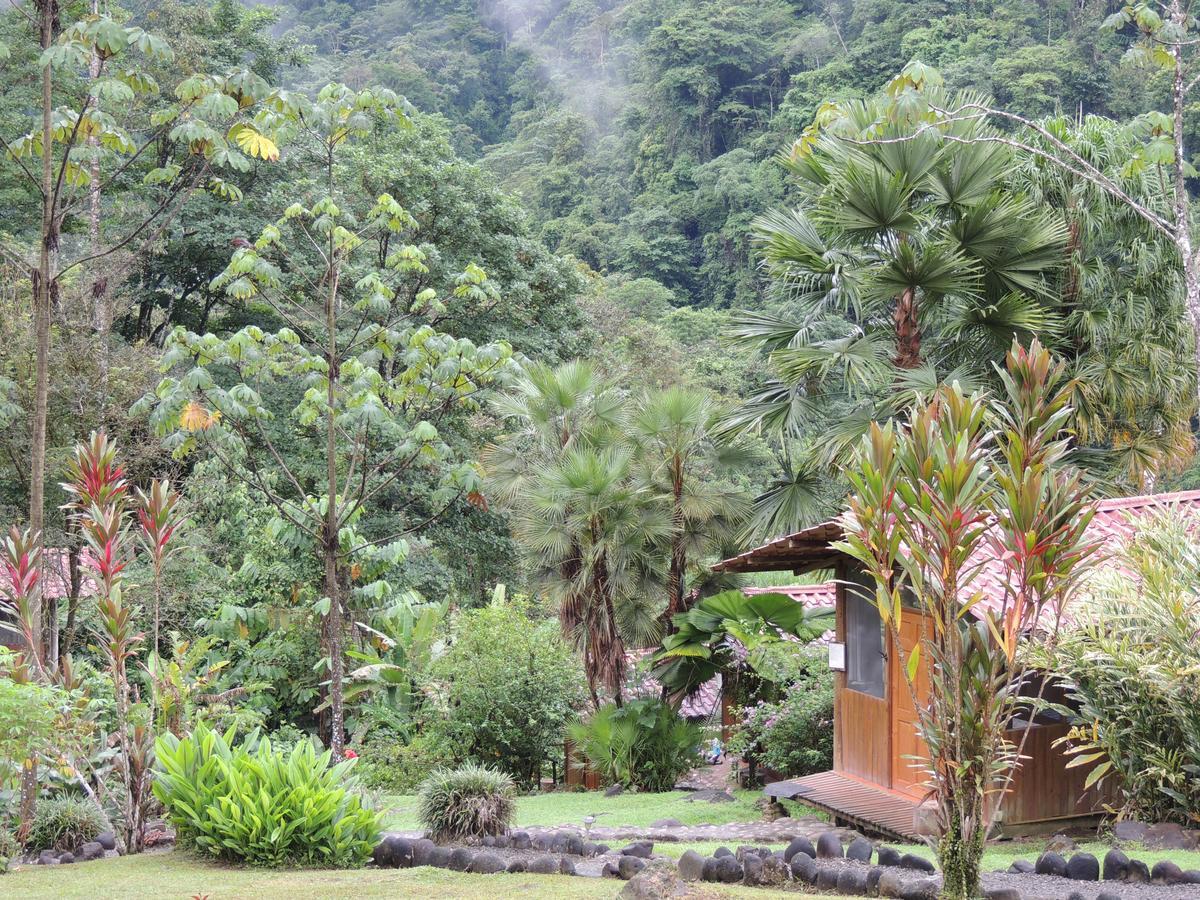 Pacuare River Lodge Bajo Tigre Εξωτερικό φωτογραφία