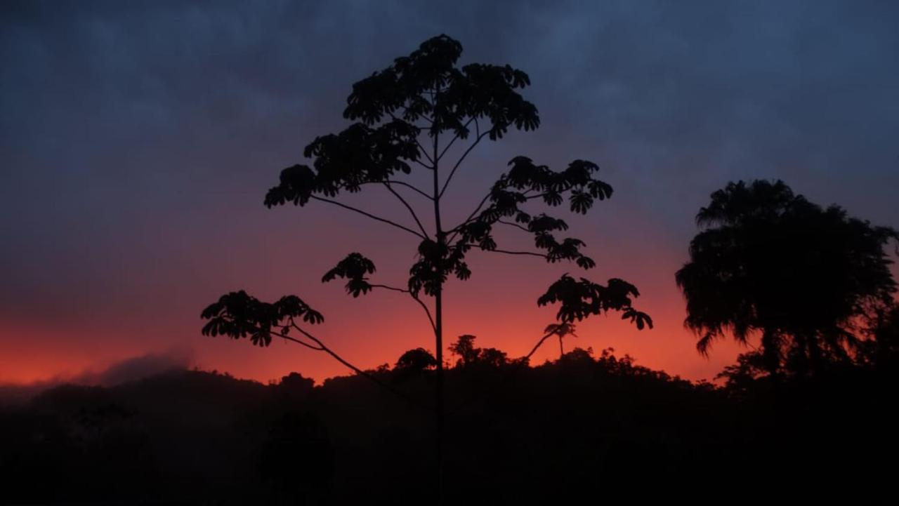 Pacuare River Lodge Bajo Tigre Εξωτερικό φωτογραφία
