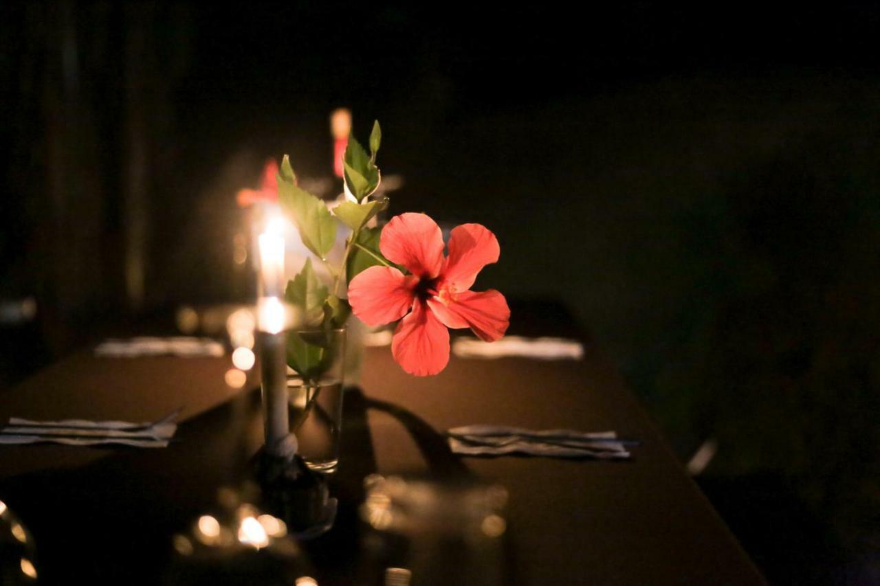 Pacuare River Lodge Bajo Tigre Εξωτερικό φωτογραφία